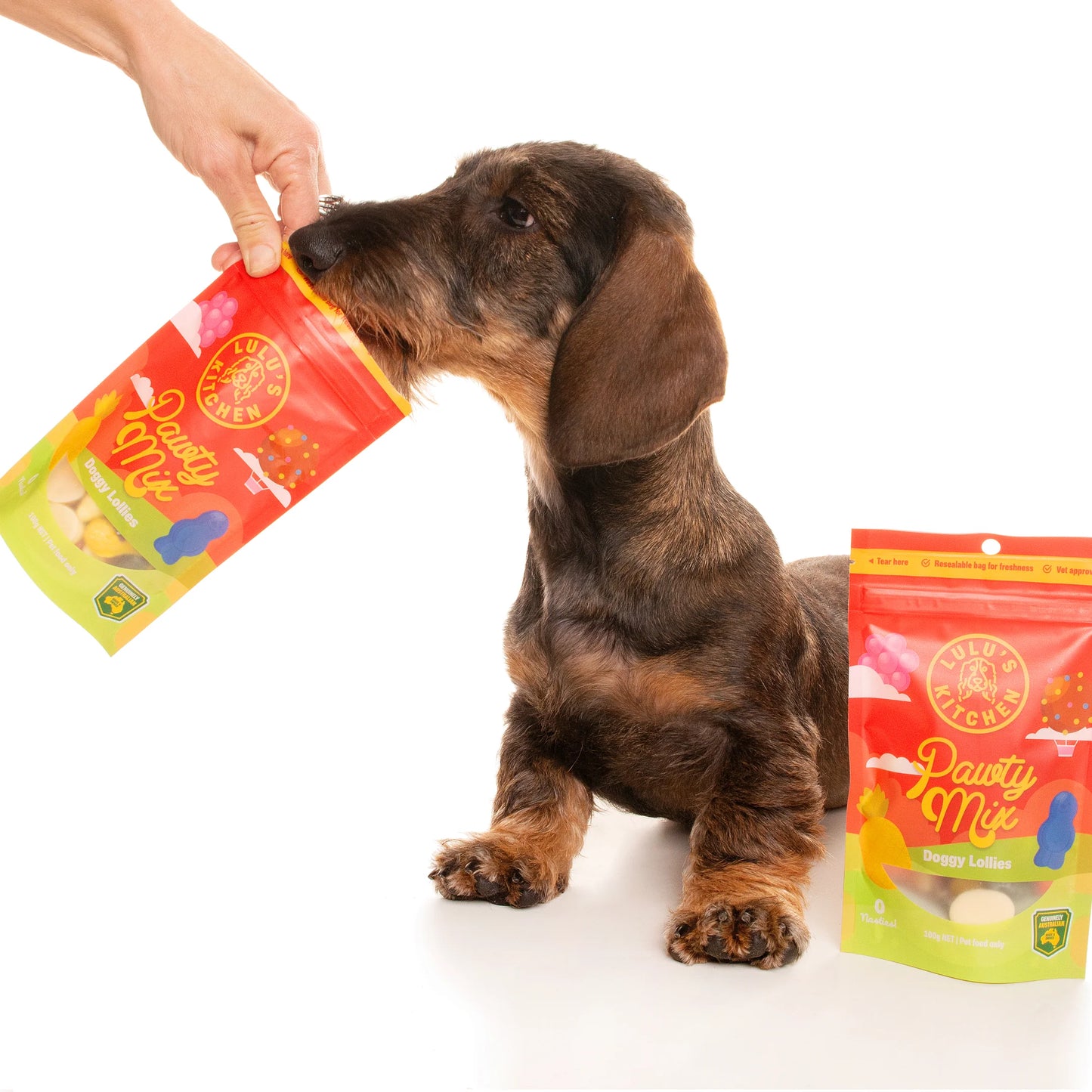 Pawty Mix Dog Treats 100g | Rover Pet Products