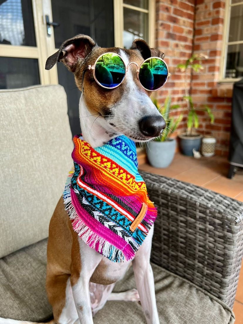 "Rainbow" pet sunglasses